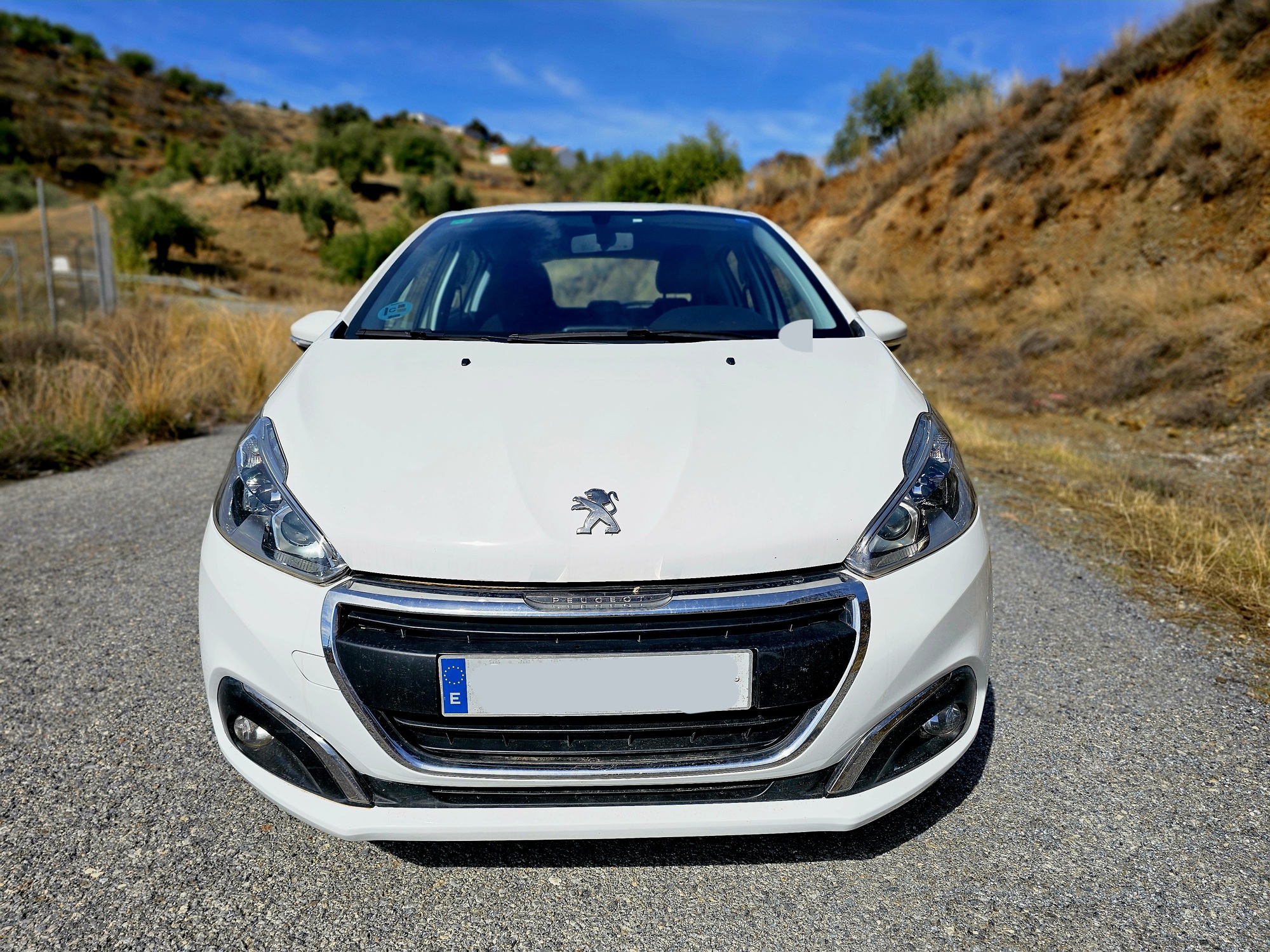 Peugeot 208 Active 2019